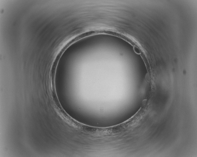 X0000078840887200611201310