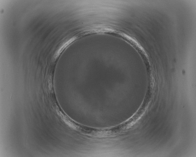 X0000078840889200611201310