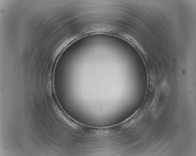 X0000078840890200611201310