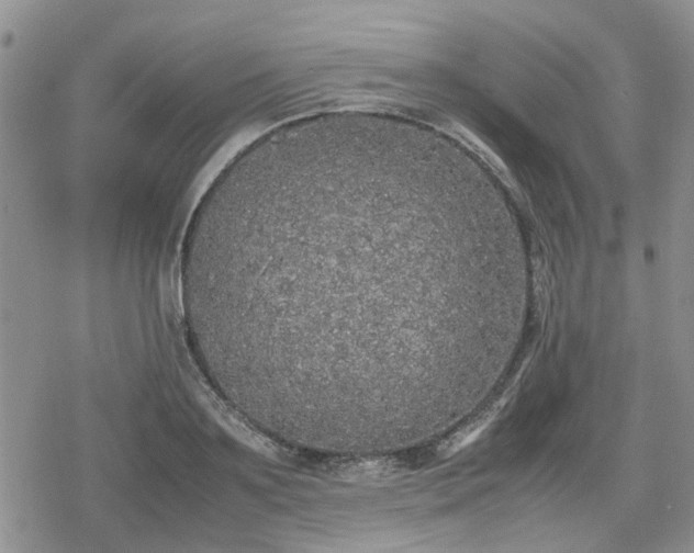 X0000078840891200611201310