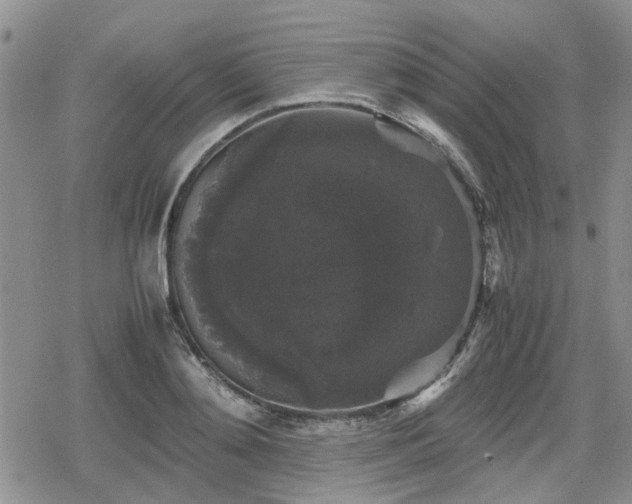 X0000078840892200611201310