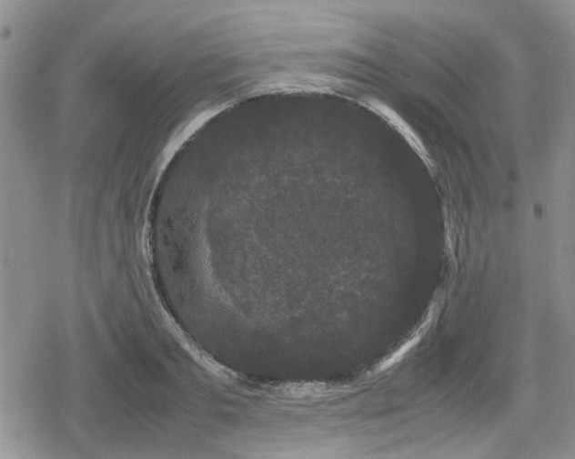 X0000078840893200611201310