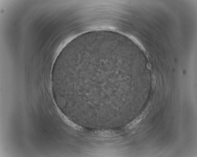 X0000078840895200611201310