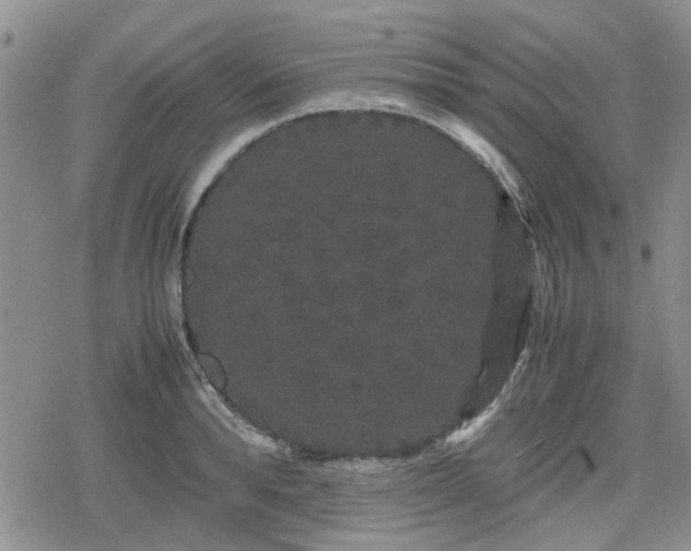 X0000078840896200611201310