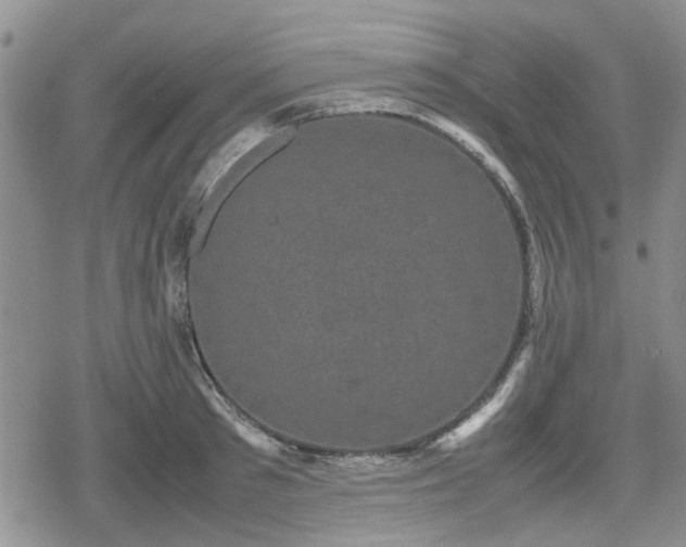 X0000078840897200611201310