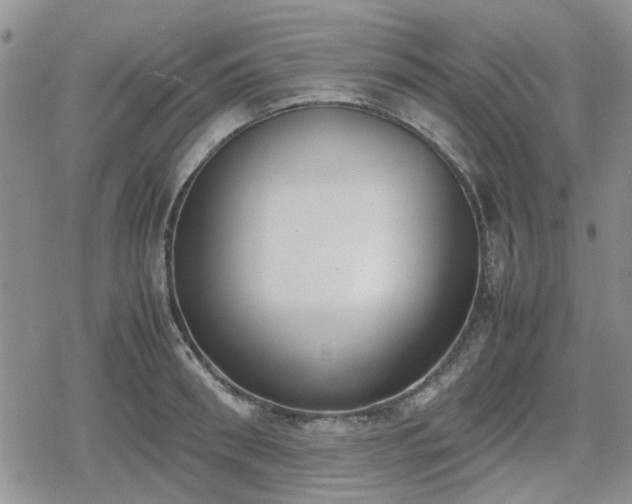 X0000078840898200611201310