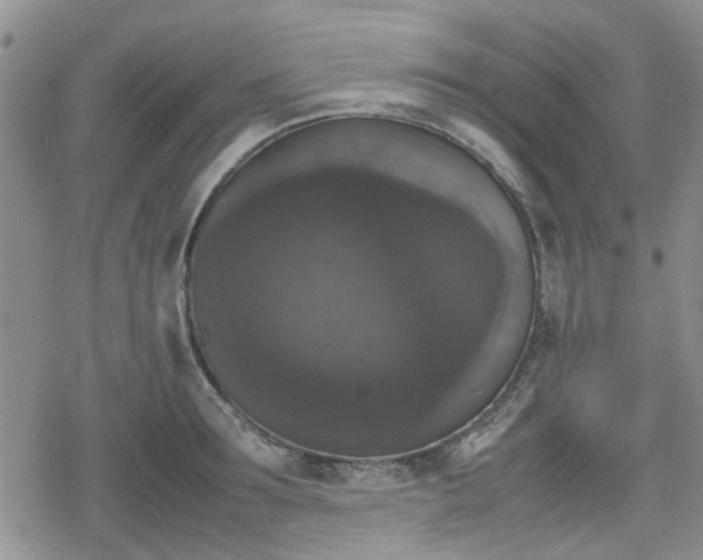 X0000078840899200611201310