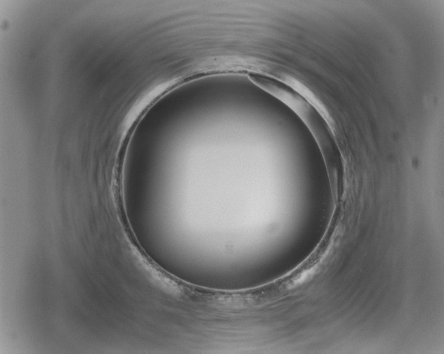 X0000078840901200611201310