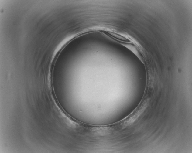 X0000078840902200611201310