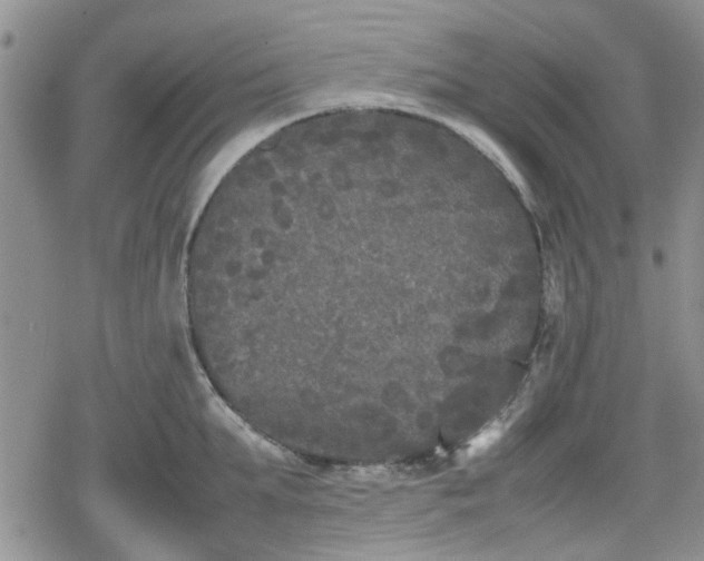 X0000078840903200611201310