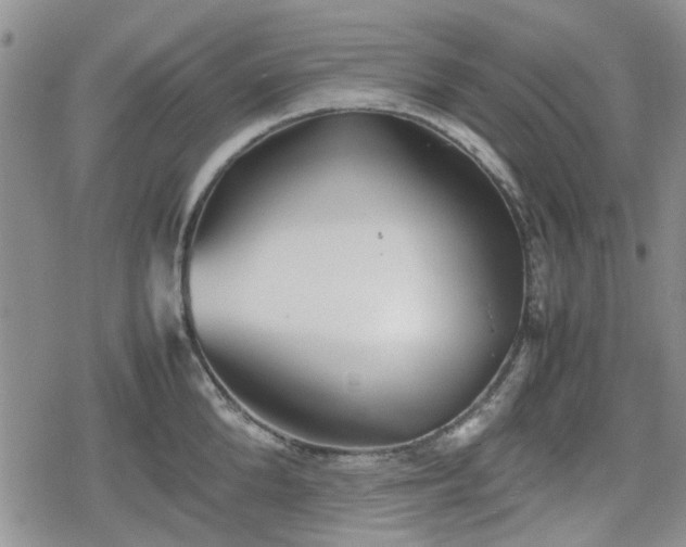 X0000078840904200611201310