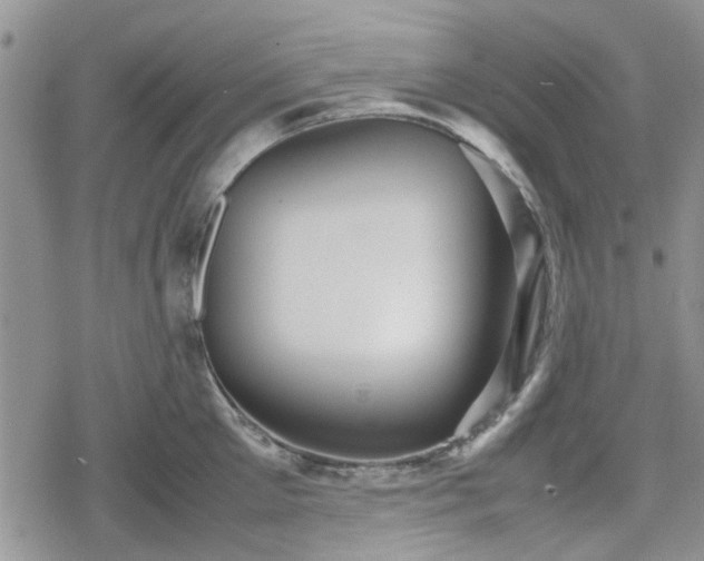 X0000078840905200611201310