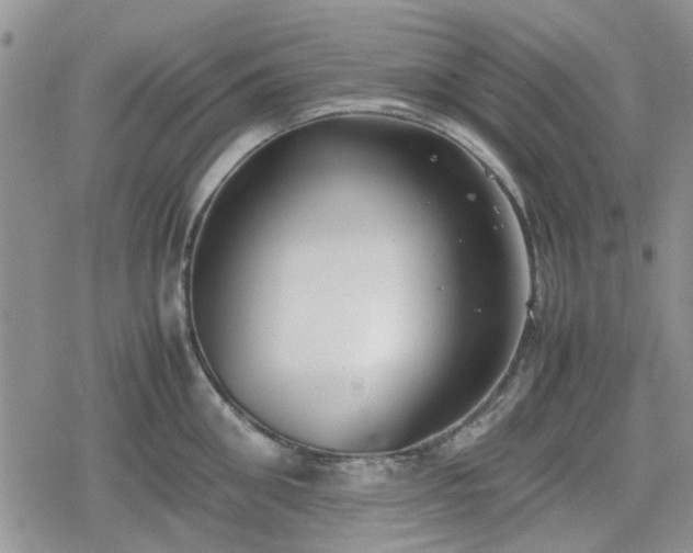 X0000078840906200611201310