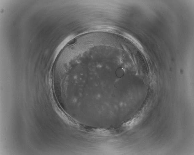 X0000078840907200611201310