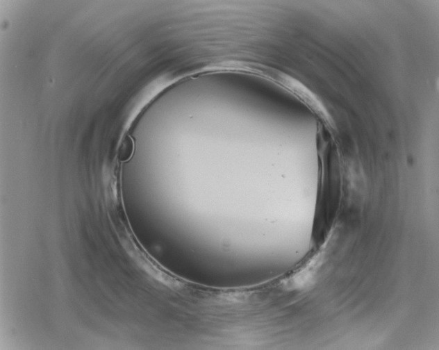 X0000078840908200611201310