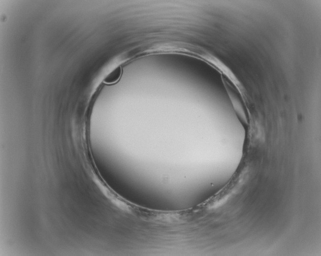 X0000078840909200611201310