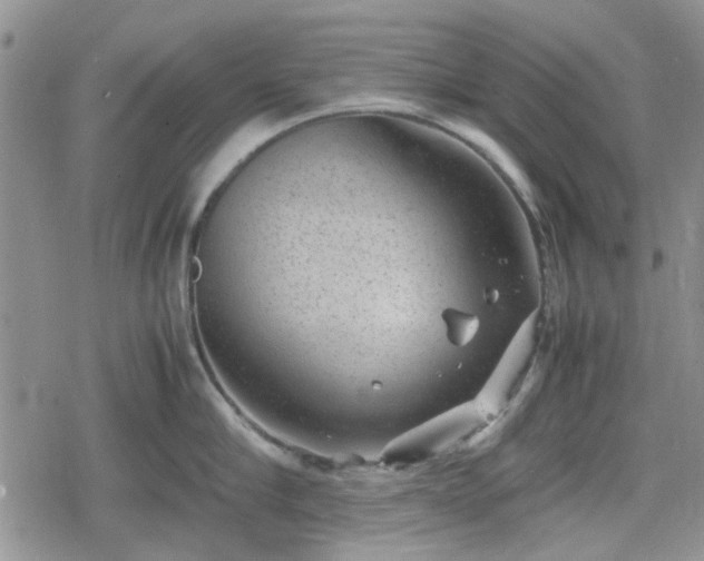 X0000078840910200611201310