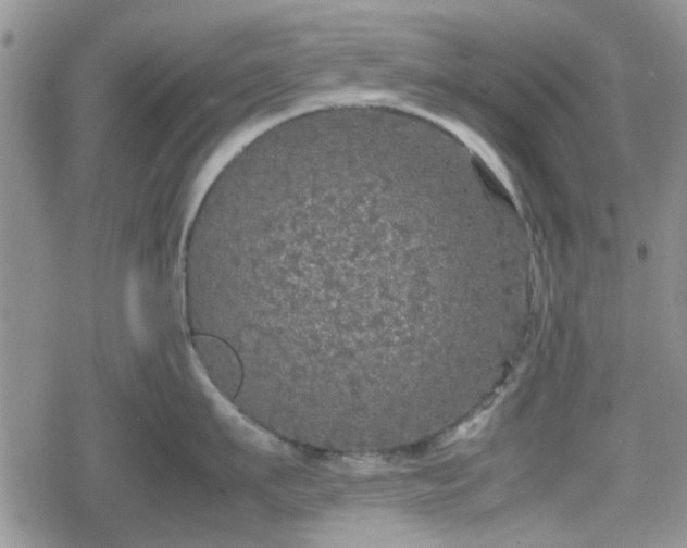 X0000078840911200611201310