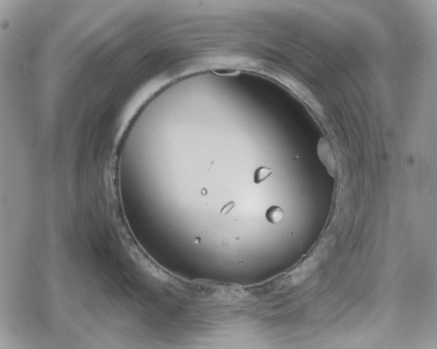 X0000078840912200611201310