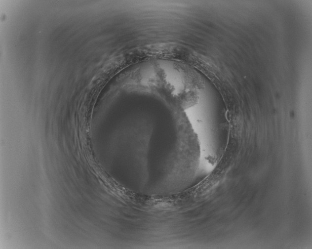 X0000078840913200611201309