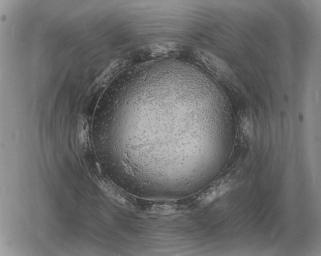 X0000078840914200611201309