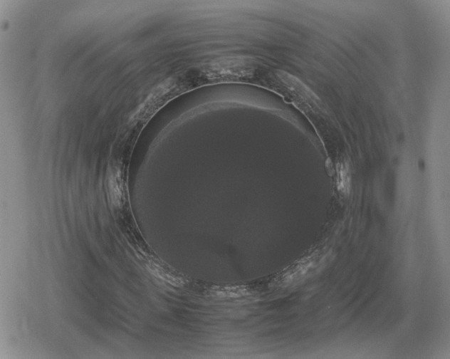 X0000078840915200611201309