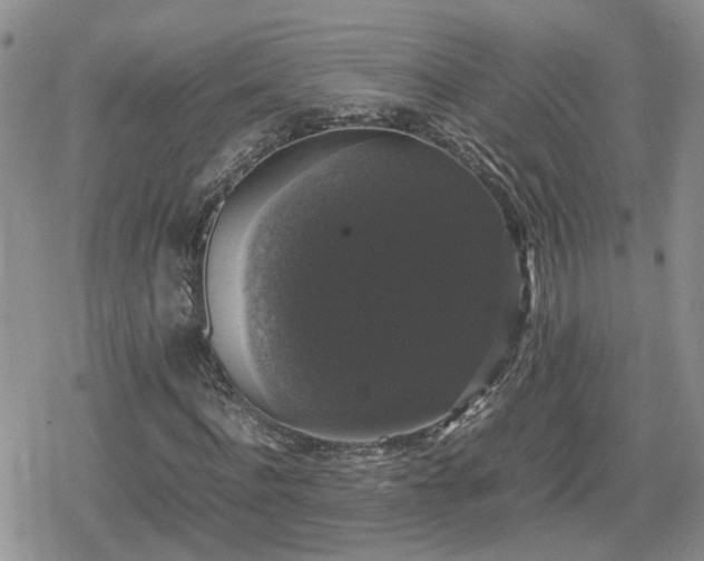 X0000078840916200611201309