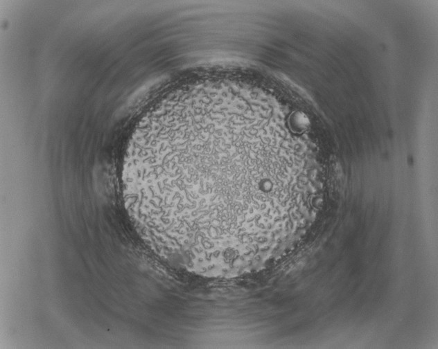 X0000078840918200611201309