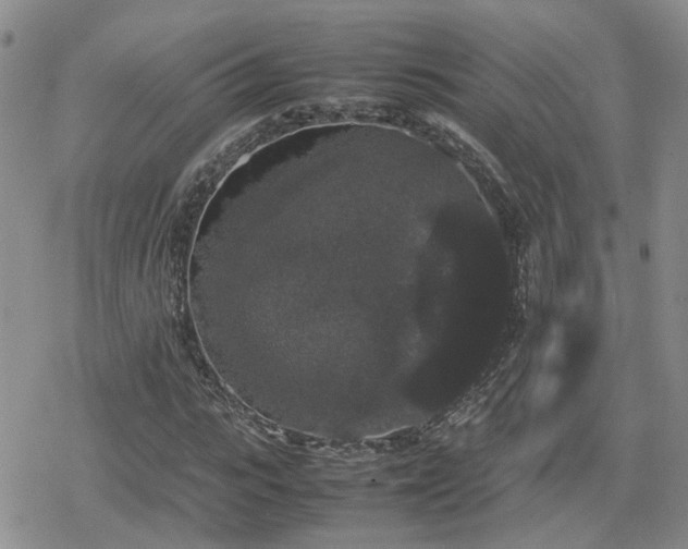 X0000078840919200611201309