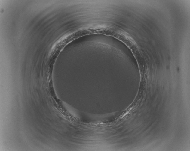 X0000078840920200611201309