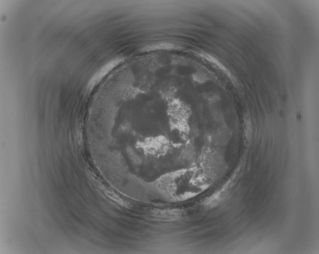 X0000078840921200611201309