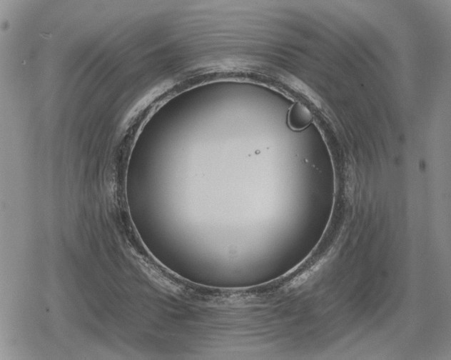 X0000078840922200611201309