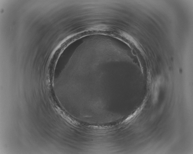 X0000078840923200611201309