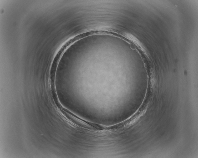 X0000078840924200611201309