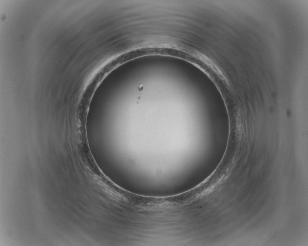 X0000078840926200611201309