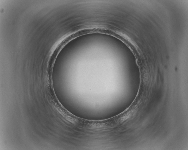 X0000078840927200611201309