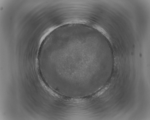 X0000078840928200611201309