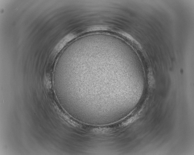 X0000078840929200611201309