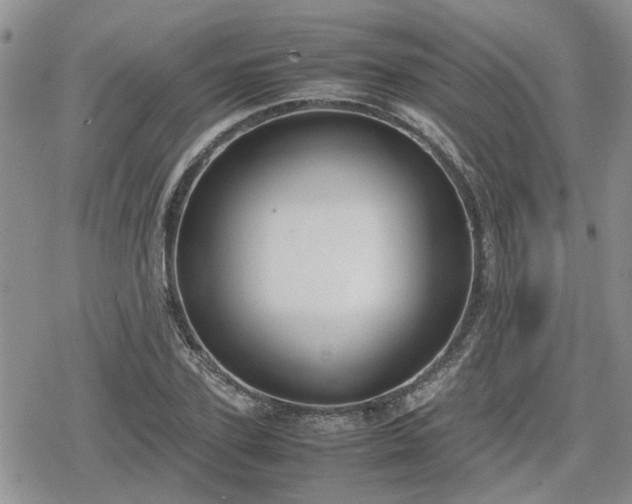 X0000078840931200611201309