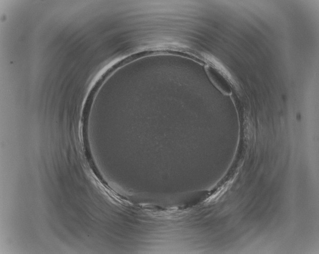 X0000078840932200611201309