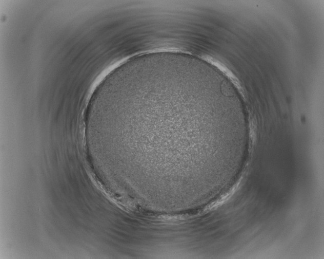 X0000078840933200611201309