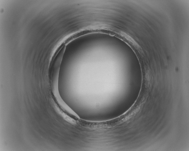 X0000078840934200611201309