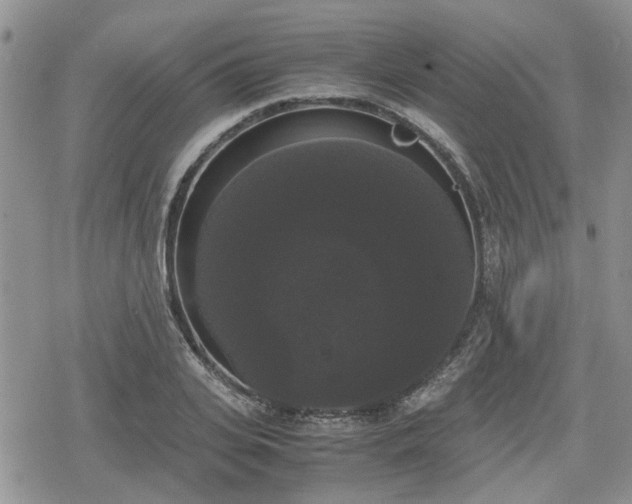 X0000078840935200611201309