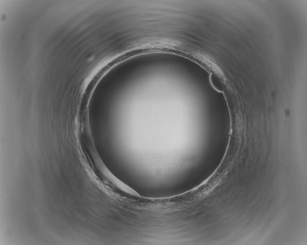 X0000078840936200611201309