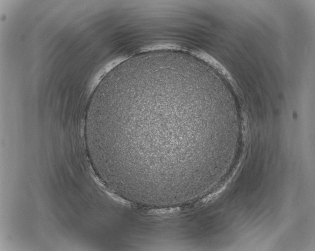 X0000078840937200611201309