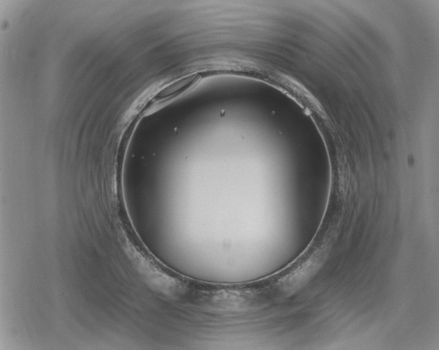 X0000078840938200611201310