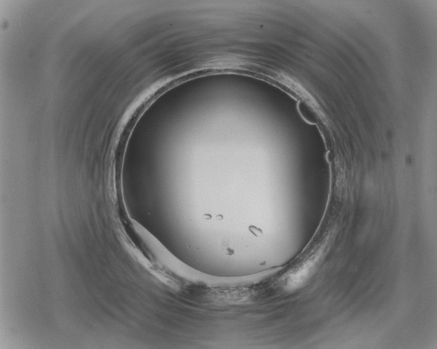 X0000078840939200611201310