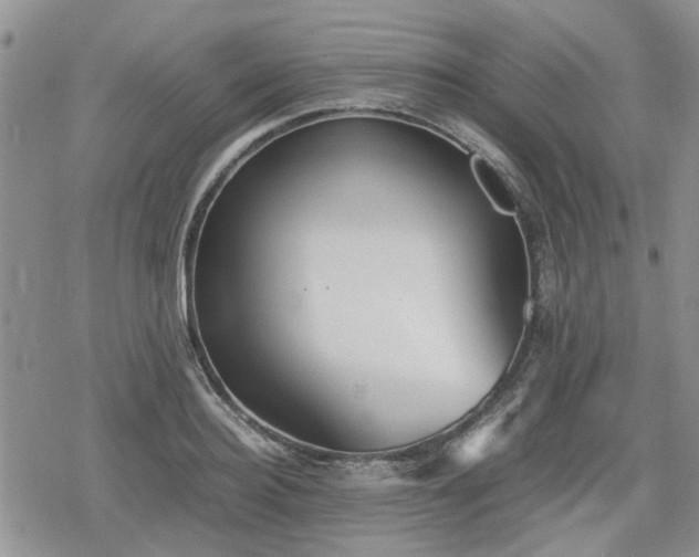 X0000078840940200611201310