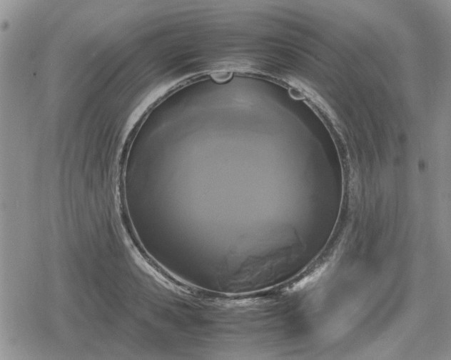 X0000078840941200611201310