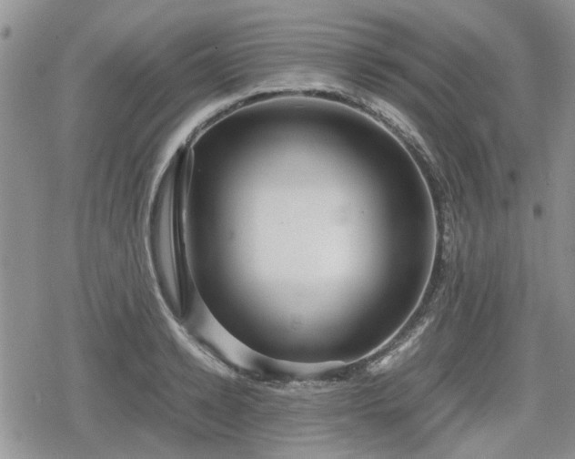 X0000078840942200611201310